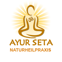Logo Ayur Seta